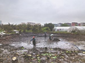 平遥河道鱼塘清淤
